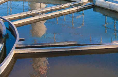 Water/Wastewater